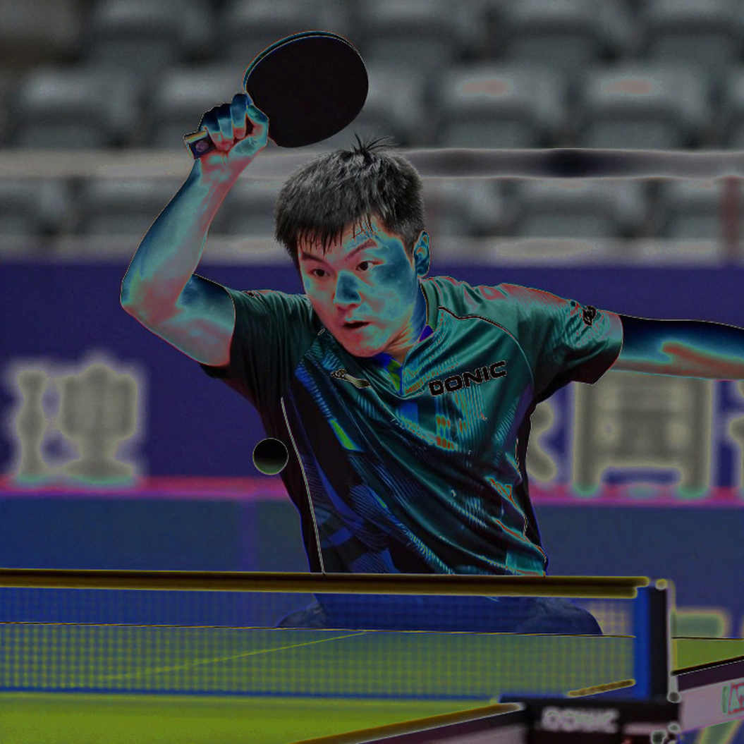 Belgium Open 2026: Hai chiếc cúp U21 của Bồ Đào Nha và khoảng lặng ở bán kết người lớn